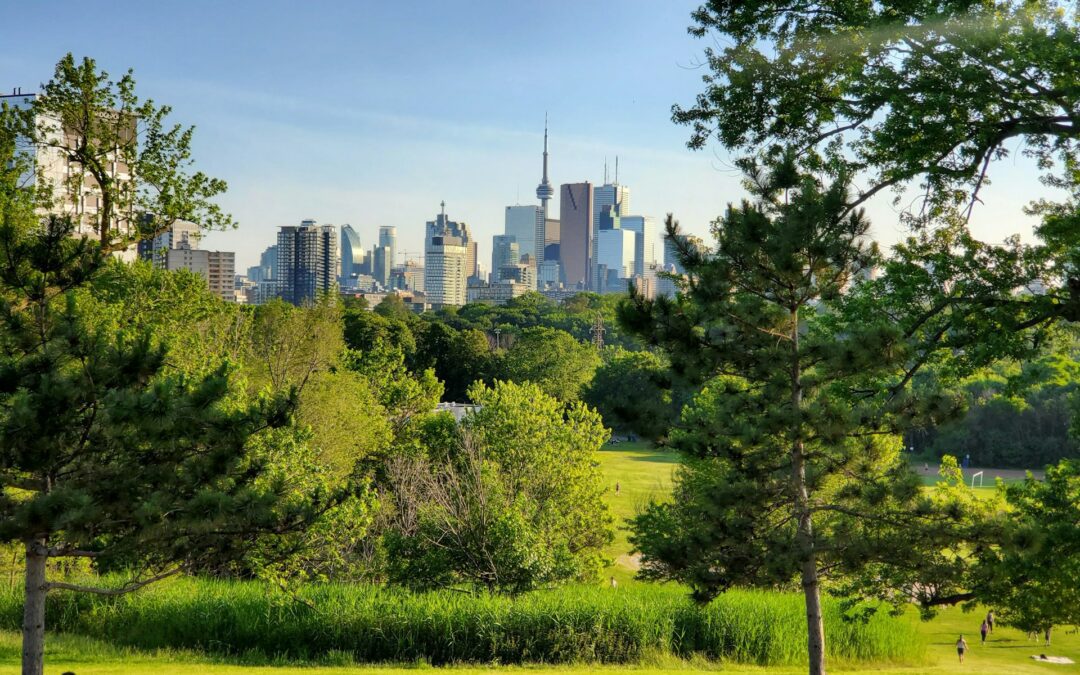 Building Vs Buying A House: Is it Better to Build or Buy a Home in Toronto in 2024