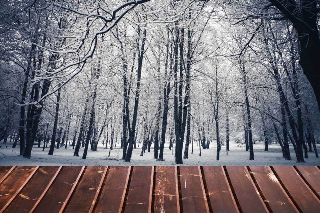 Vaughan home addition maximizing living space and natural light